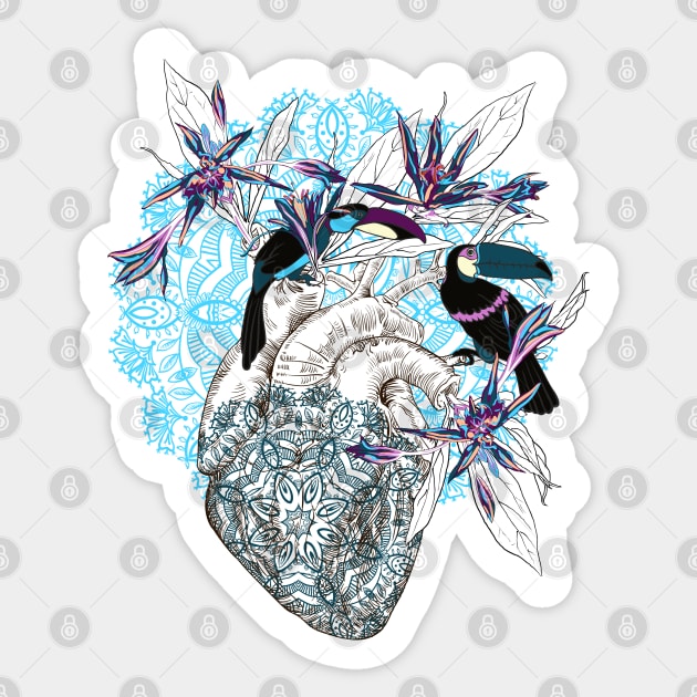 Human anatomical heart with flowers and two toucan birds Sticker by Olga Berlet